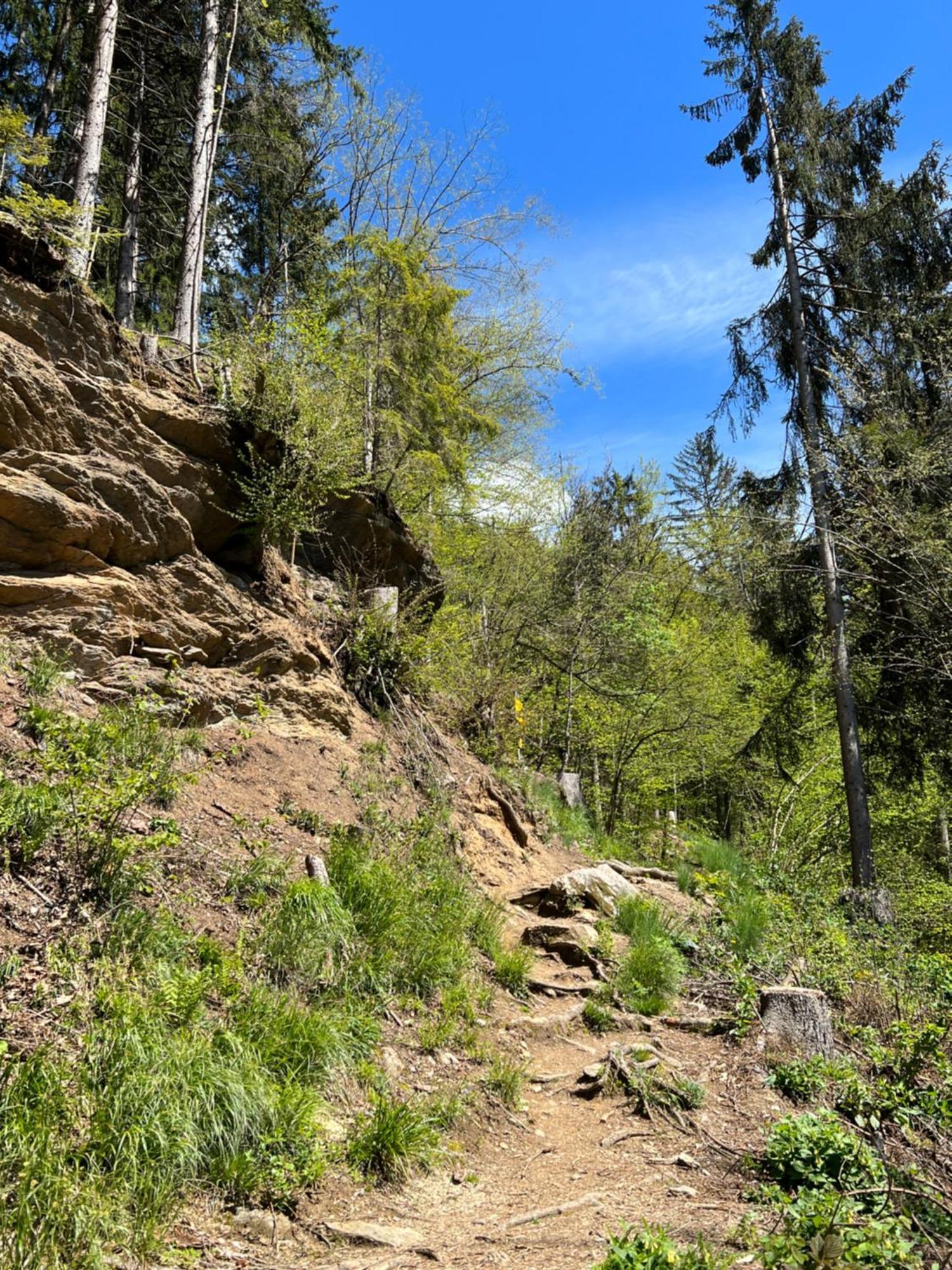 Ferienwohnung Mit Seeblick - Ossiacher See Gerlitzen Sattendorf エクステリア 写真